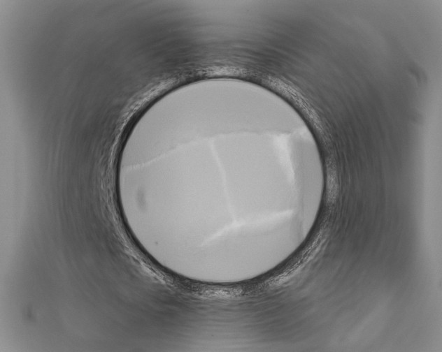 X0000111220721200908131100