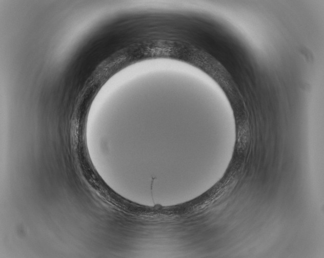 X0000111220722200908131100