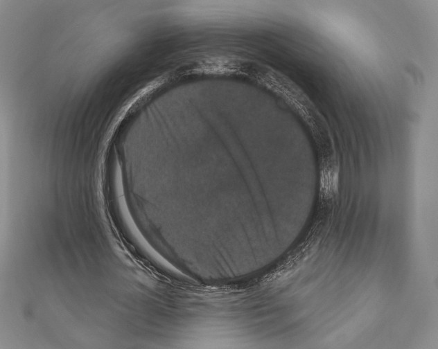X0000111220724200908131100