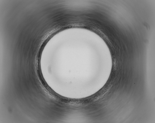 X0000111220725200908131100