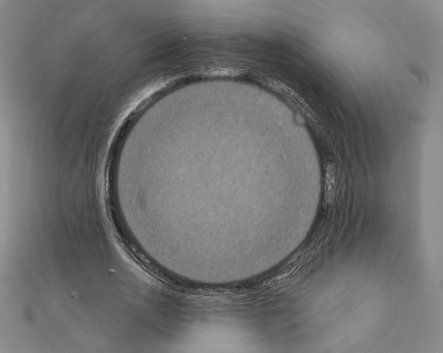 X0000111220726200908131100
