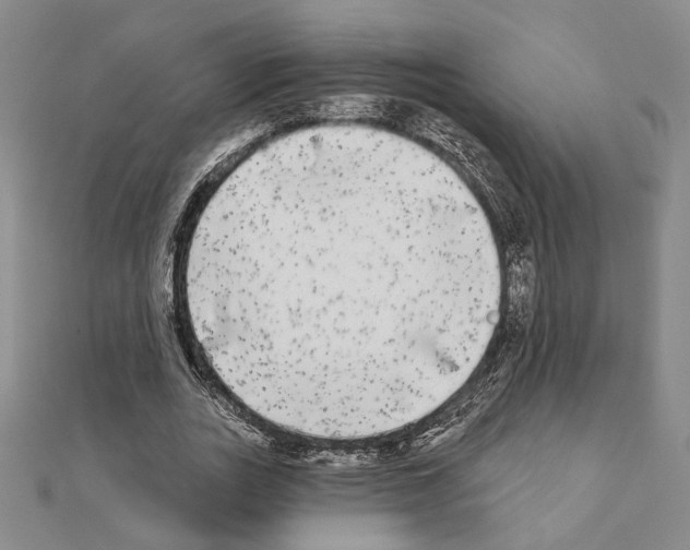 X0000111220727200908131100