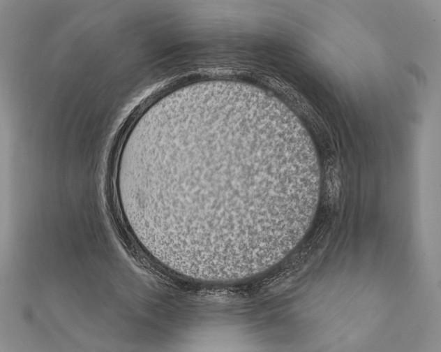 X0000111220728200908131100