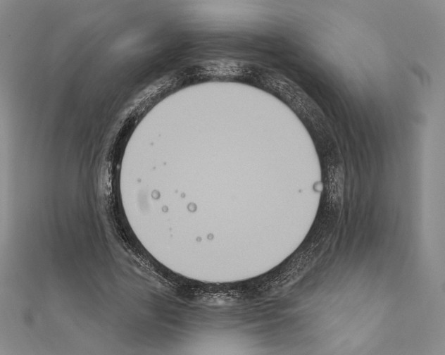 X0000111220731200908131100