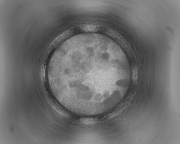 X0000111220733200908131101
