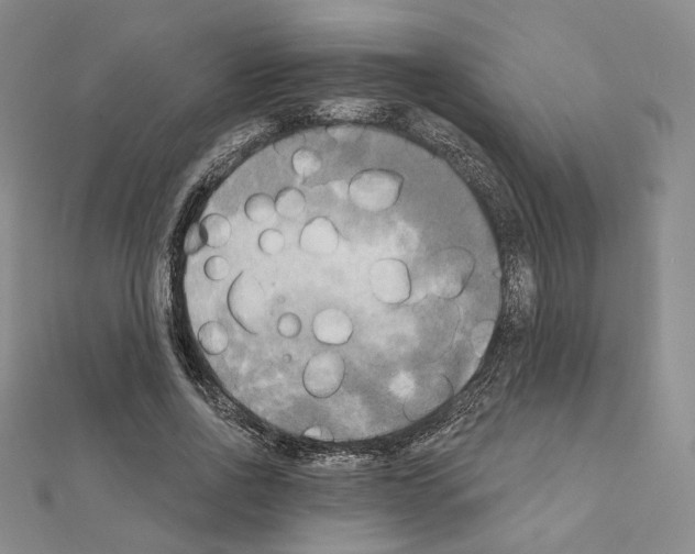 X0000111220734200908131101
