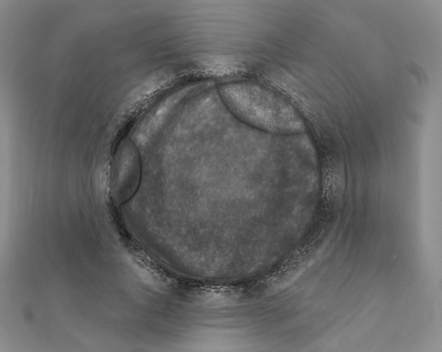 X0000111220736200908131101