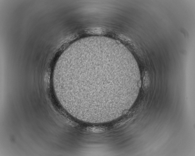 X0000111220739200908131101