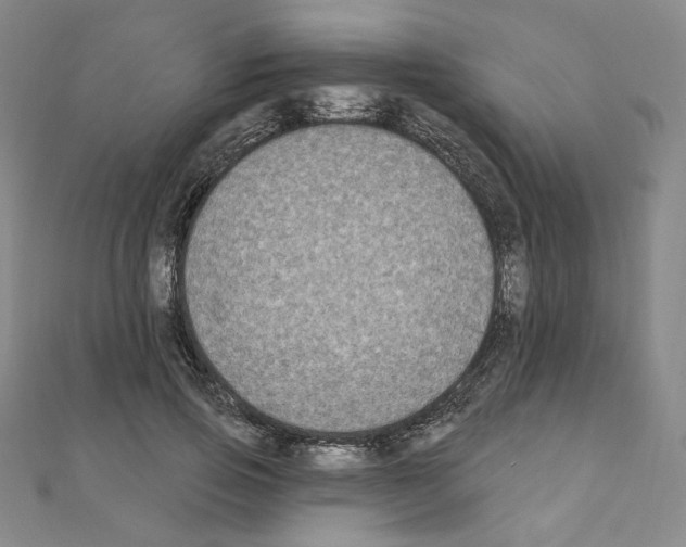 X0000111220741200908131101
