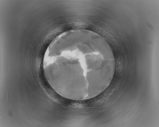 X0000111220742200908131101