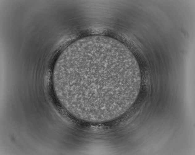 X0000111220744200908131101