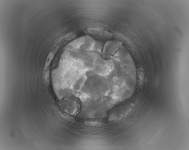 X0000111220745200908131101