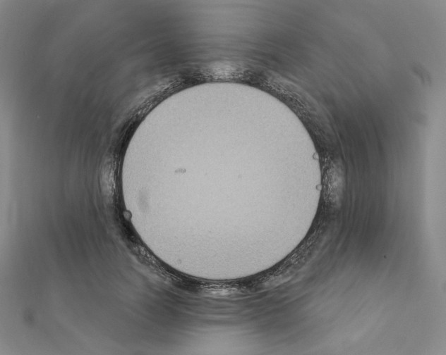 X0000111220746200908131101