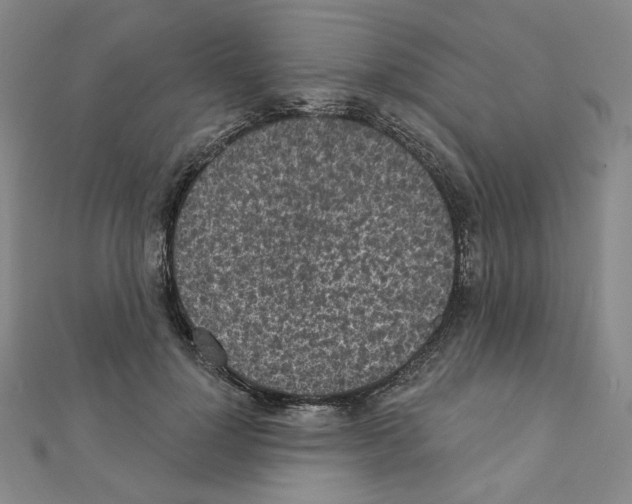 X0000111220748200908131101