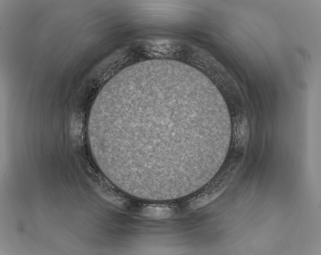 X0000111220749200908131101