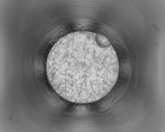 X0000111220751200908131101