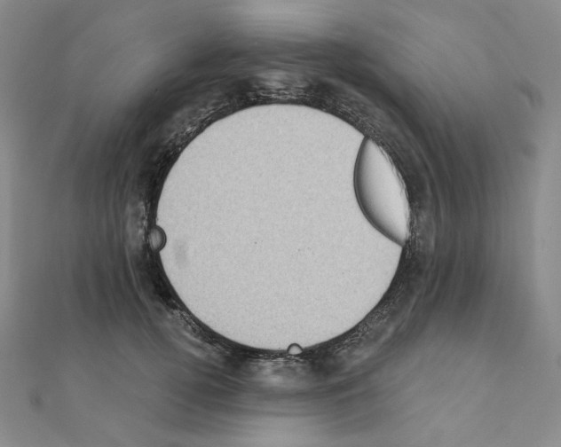 X0000111220752200908131101