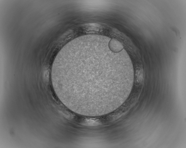 X0000111220753200908131101