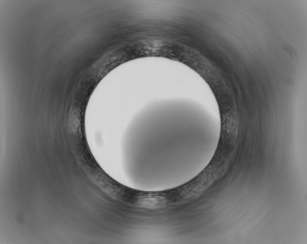 X0000111220754200908131101