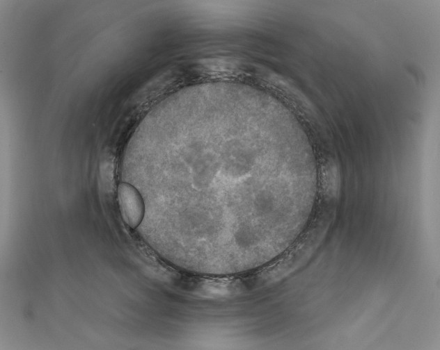 X0000111220757200908131101