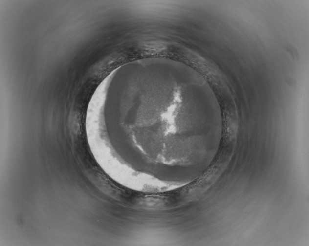 X0000111220758200908131101