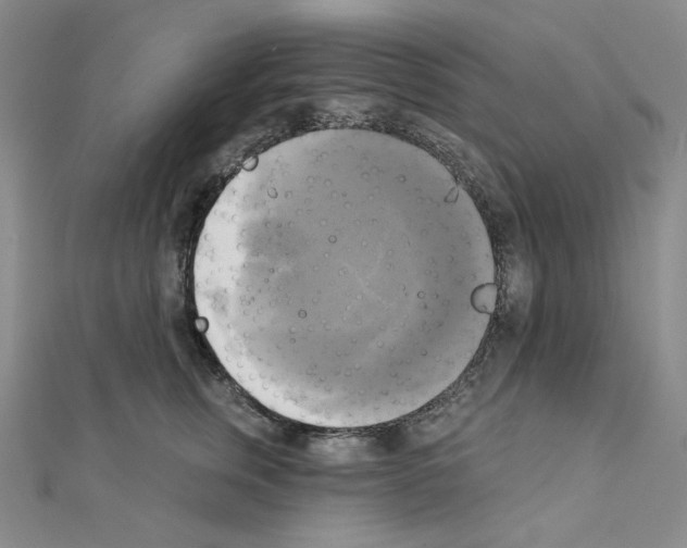 X0000111220759200908131101