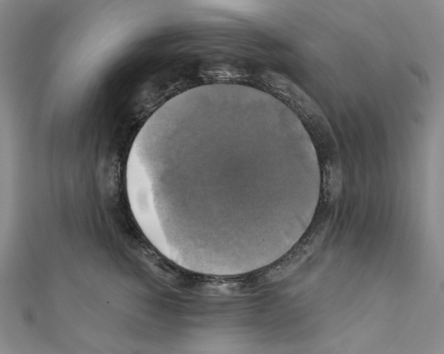 X0000111220760200908131101