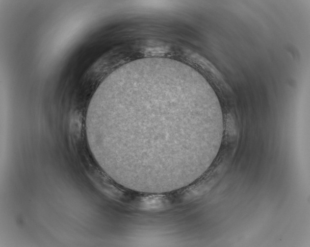 X0000111220761200908131101