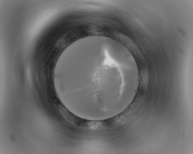 X0000111220762200908131101
