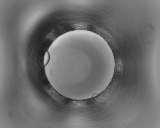 X0000111220763200908131101
