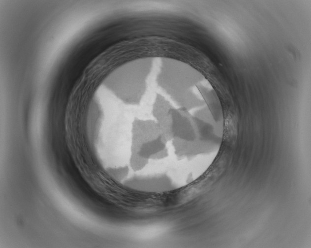 X0000111220765200908131101