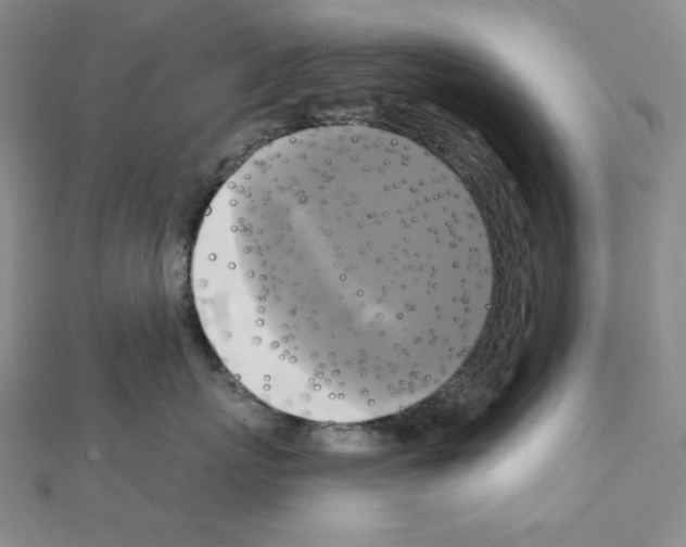 X0000111220767200908131101