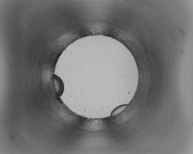 X0000111220768200908131101
