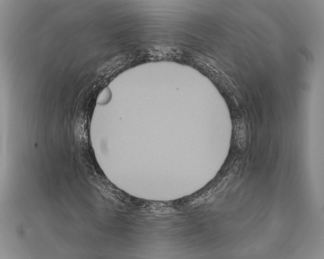 X0000111220770200908131100