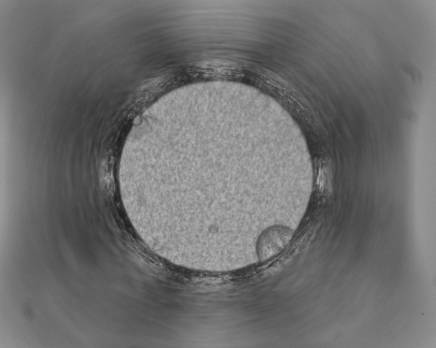 X0000111220771200908131100