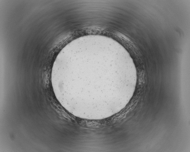 X0000111220774200908131100