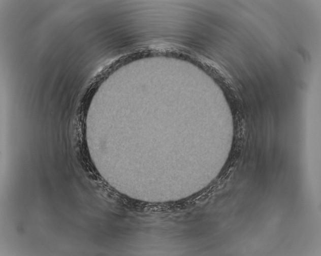 X0000111220776200908131100