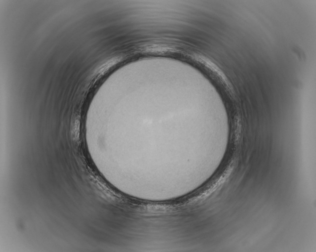 X0000111220777200908131100