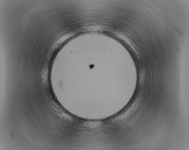 X0000111220778200908131100