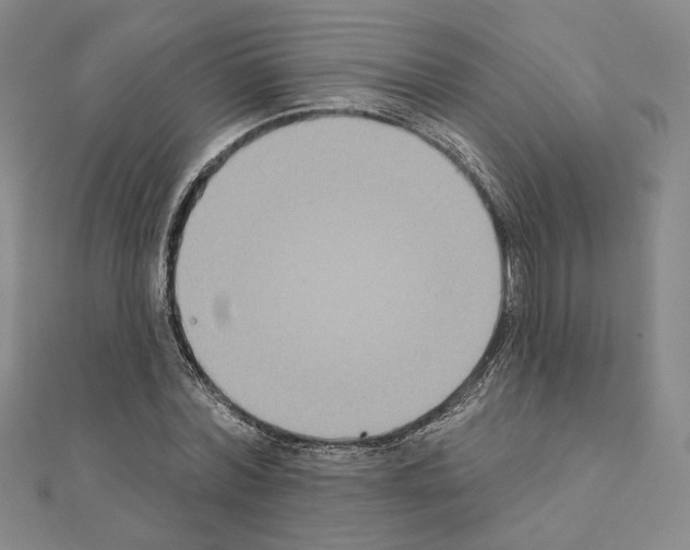 X0000111220780200908131100
