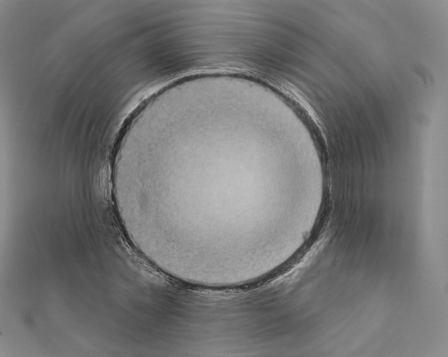 X0000111220781200908131100