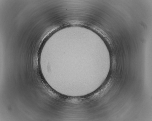 X0000111220782200908131100