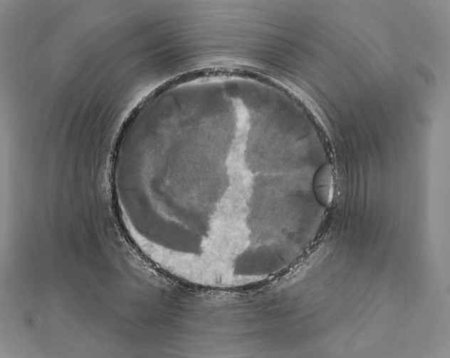 X0000111220783200908131100
