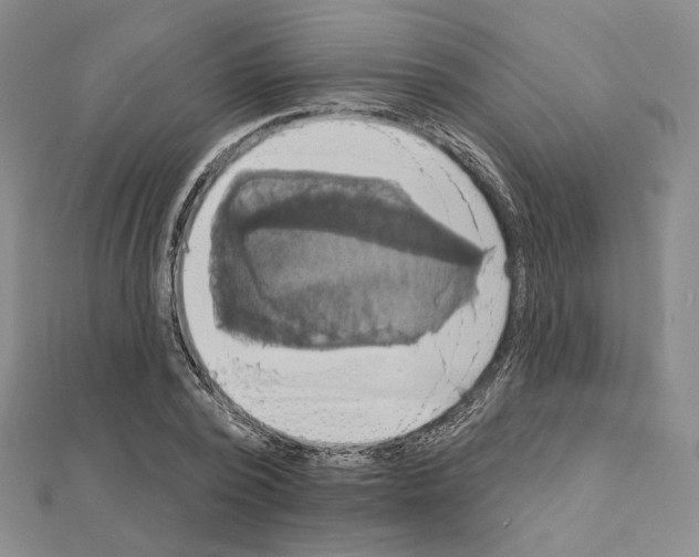 X0000111220784200908131100