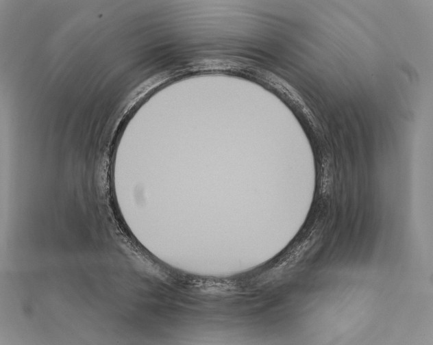 X0000111220786200908131100