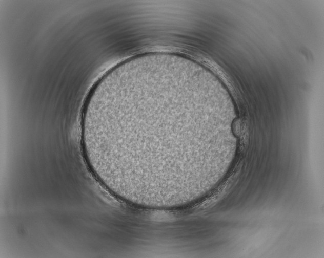 X0000111220787200908131100