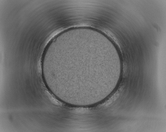 X0000111220789200908131100