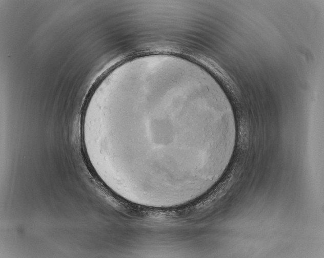 X0000111220790200908131100