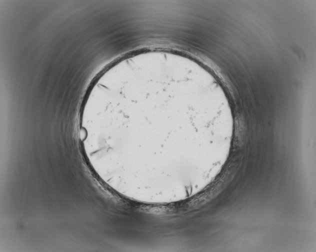 X0000111220791200908131100