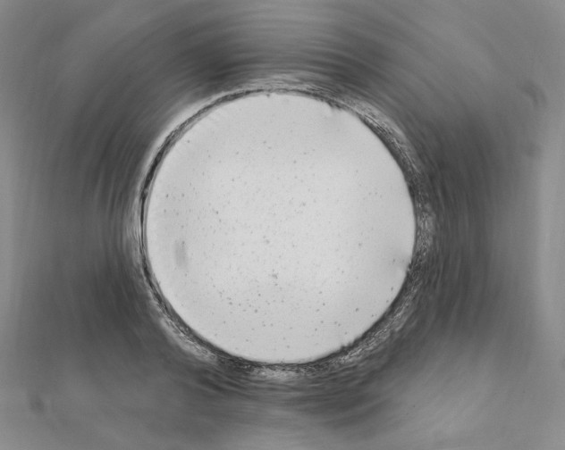 X0000111220792200908131100